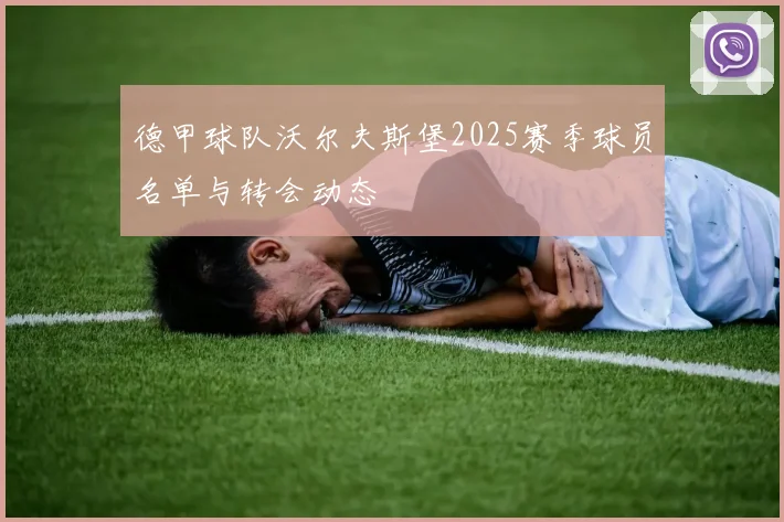 德甲球队沃尔夫斯堡2025赛季球员名单与转会动态