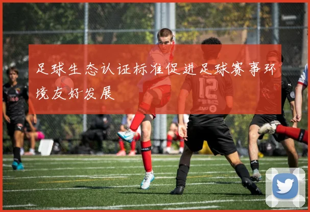 足球生态认证标准促进足球赛事环境友好发展