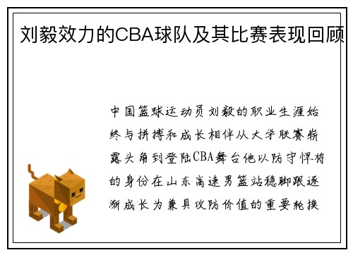 刘毅效力的CBA球队及其比赛表现回顾