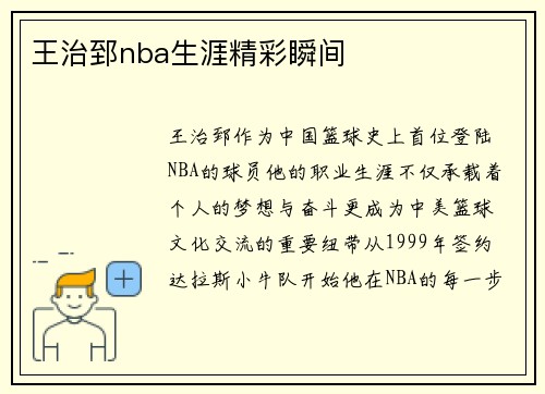 王治郅nba生涯精彩瞬间