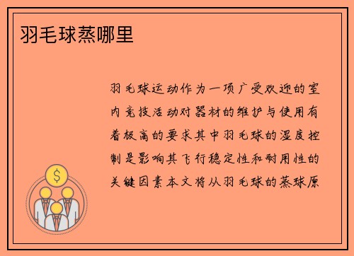 羽毛球蒸哪里