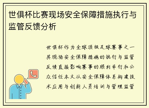 世俱杯比赛现场安全保障措施执行与监管反馈分析
